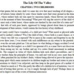 کتاب زنبق دره اثر اونوره دو بالزاک + نسخه اصلی انگلیسی