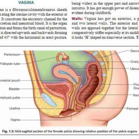 کتاب DC Duttas textbook of gynecology + ترجمه