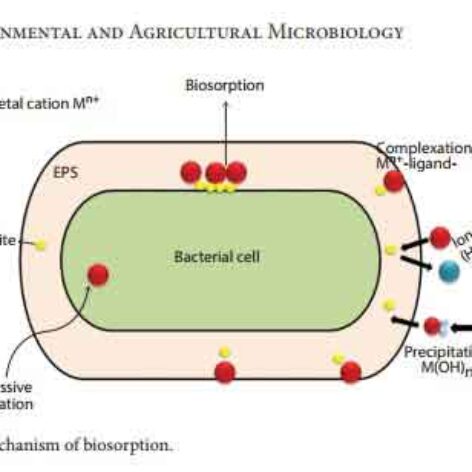 کتاب Environmental and Agricultural Microbiology 2021 + ترجمه