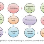 کتاب Microbial Biotechnology Basic Research and Applications 2020 + ترجمه