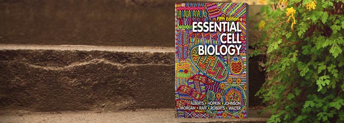 کتاب Essential Cell Biology + ترجمه 1 کتاب Essential Cell Biology + ترجمه