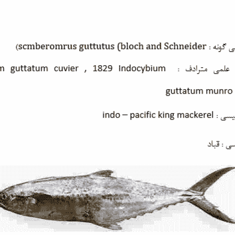 تحقیق درباره انواع آبزیان خوراکی خلیج فارس